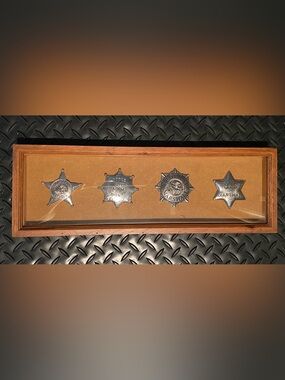 Marshall Silver Tone U.S. Marshal Star Badge